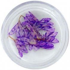Flori uscate - violet foto