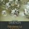 Georges Simenon - Răbdarea lui Maigret
