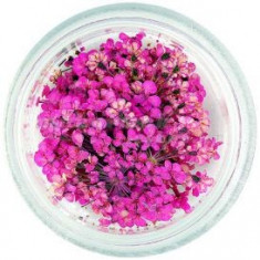 Flori roz pentru nail art - uscate foto