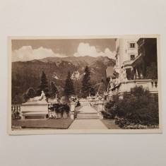 SINAIA-CASTELUL PELES-TERASA-CARTE POSTALA ANII 30 foto