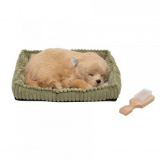 Catel de plus Golden Retriever care respira, design realistic foto