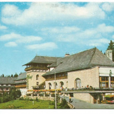 (A)carte postala(marca fixa)-POIANA BRASOV -Hotel Sport