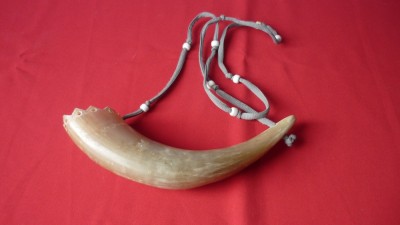 CORN DE TAUR, DECOR foto