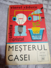 Mesterul casei-Viorel Raducu foto