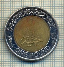11710 MONEDA- EGYPT - ONE POUND -ANUL 2008 -STAREA CARE SE VEDE foto