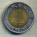 11711 MONEDA- EGYPT - ONE POUND -ANUL 2008 -STAREA CARE SE VEDE, Europa