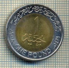11711 MONEDA- EGYPT - ONE POUND -ANUL 2008 -STAREA CARE SE VEDE