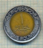 11709 MONEDA- EGYPT - ONE POUND -ANUL 2008 -STAREA CARE SE VEDE, Europa