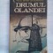 (C394) ALEX MIHAI STOENESCU - DRUMUL OLANDEI