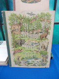 Cumpara ieftin LUDWIG ZUKOWSKY - VUS WALD UND FLUR / ALBUM ANIMALE DIN PADURE , GERMANIA , 1938 *