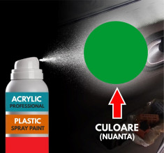 Spray Profesional RAL6002 pentru vopsire elemente din plastic sau metal foto