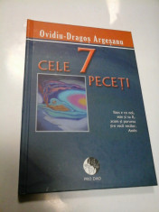 CELE 7 PECETI - OVIDIU-DRAGOS ARGESANU foto