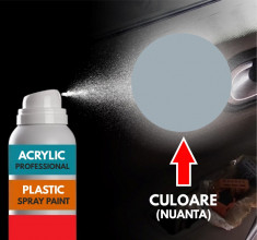 Spray Profesional RAL7001 pentru vopsire elemente din plastic sau metal foto