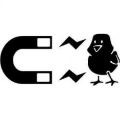 Stickere auto Chick magnet foto