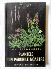 PLANTELE DIN PADURILE NOASTRE, Ion Serbanescu, 1959 foto