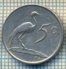 11893 MONEDA - AFRICA DE SUD - 5 CENTS - ANUL 1971 -STAREA CARE SE VEDE foto