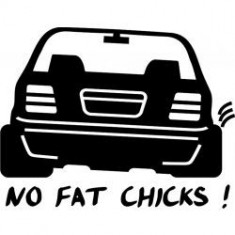 Stickere auto Silueta no fat chicks foto