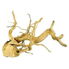 Cuckoo Root radacina pentru acvariu - 51 x 43 x 30 cm foto