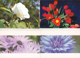 Bnk cp Lot 20 carti postale necirculate - tematica flora, Necirculata, Printata