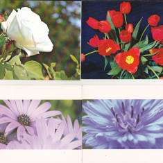 bnk cp Lot 20 carti postale necirculate - tematica flora