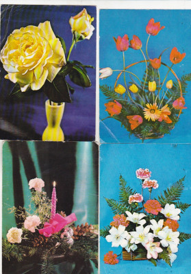 bnk cp Lot 24 carti postale uzate - tematica flora foto