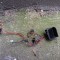Instalatie electrica far Seat Leon
