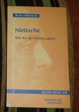 Nietzsche : wie ihn die Dichter sahen / Bruno Hillebrand