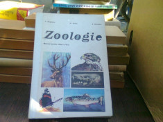 Zoologie - Al. Dabita (manual clasa a VI-a) foto