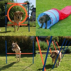 Set complet dresaj caini agilitate obstacole Agility Fun &amp;amp; Sport foto
