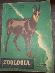 ZOOLOGIA MANUAL PENTRU CLASA A IX-A de CONSTANTIN BOGOESCU, EMIL SANIELEVICI , CORALIA - VERNESCU , 1961 foto