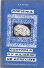 Creierul centrala cu miliarde de agregate