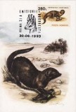 6825 - Romania 1993 - carte maxima fauna