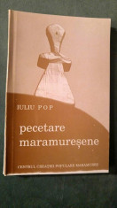 Pecetare Maramuresene, Iuliu Pop, Centrul Creatiei Populare Maramuresene, 1995 foto