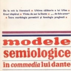 D'Arco Silvio Avalle - Modele semiologice în commedia lui Dante