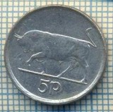 12036 MONEDA - IRLANDA - 5 PENCE - ANUL 1996 -STAREA CARE SE VEDE, Asia