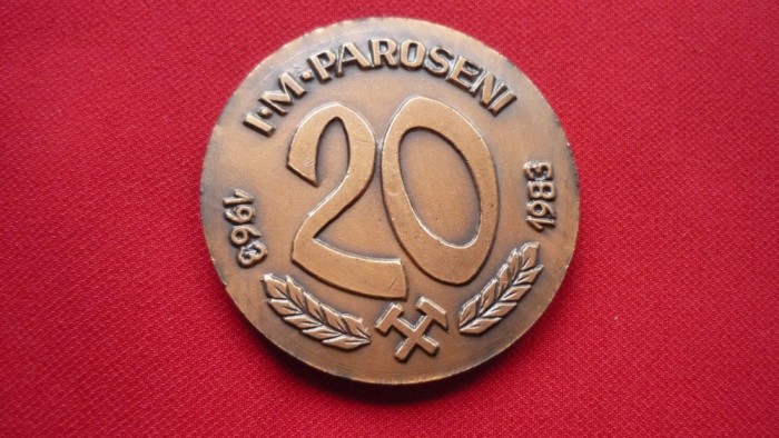 MEDALIE 20 ANI MINA PAROSENI