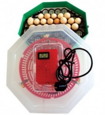 Incubator electric cu dispozitiv de intoarcere si termostat 41 oua gaina - 74 oua prepelita Autentic HomeTV foto