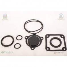 GF-0605 Set garnituri complete pentru motopompa 2&amp;quot; Autentic HomeTV foto