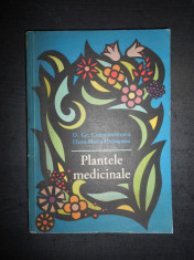 D. GR. CONSTANTINESCU - PLANTELE MEDICINALE foto