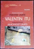 Cumpara ieftin VALENTIN ITU: PEREGRINARI PRINTRE LIMITE(TIBERIU ALEXA/2005)[ed.bilingva ro-eng]