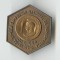 Al XI lea Simpozion national de NUMISMATICA - SLATINA - Insigna SNR Rara