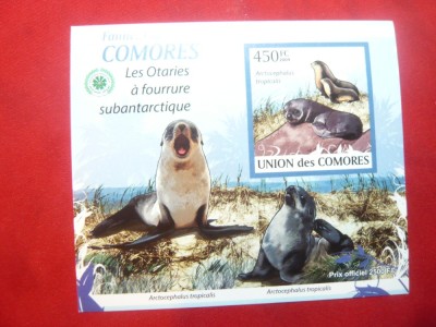 Bloc -Fauna Marina 2009 Comore foto