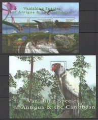 ANTIGUA 2001 SPECII PROTEJATE PASARI foto