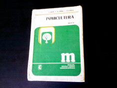 Pomicultura , Autori:I.Militiu,N.Ghena,Fl.Popescu Editura:Ceres Anul:1977 foto