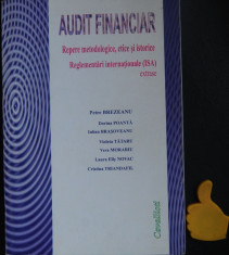 Audit financiar Repere metodologice etice si istorice Petre Brezianu foto