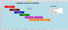 Proiect Excel PPT Word HTML - venituri; Vlookup SUM IF pivot instrumente foto