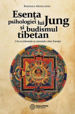 Esen?a psihologiei lui Jung ?i budismul tibetan. Cai orientale ?i occidentale catre Esen?a foto