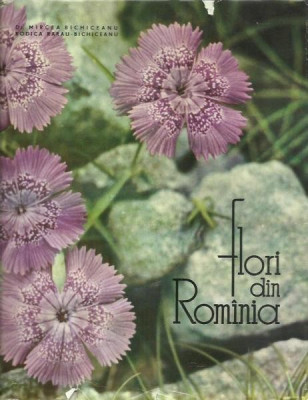 Rodica Rarău-Bichiceanu - Flori din Rom&amp;acirc;nia foto