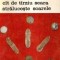 Genevieve Laporte - C&icirc;t de t&icirc;rziu seara straluceste soarele