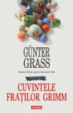 Gunter Grass - Cuvintele fraților Grimm